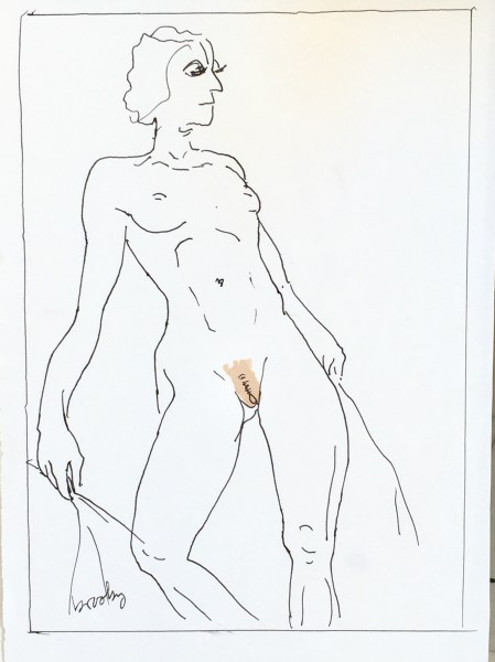 pen and ink line drawing of a nude model